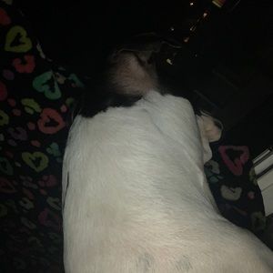 Meet your Posher, Gabriella